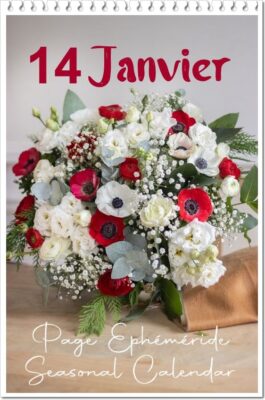 325592228_5081275791975106_3735461980910815372_n