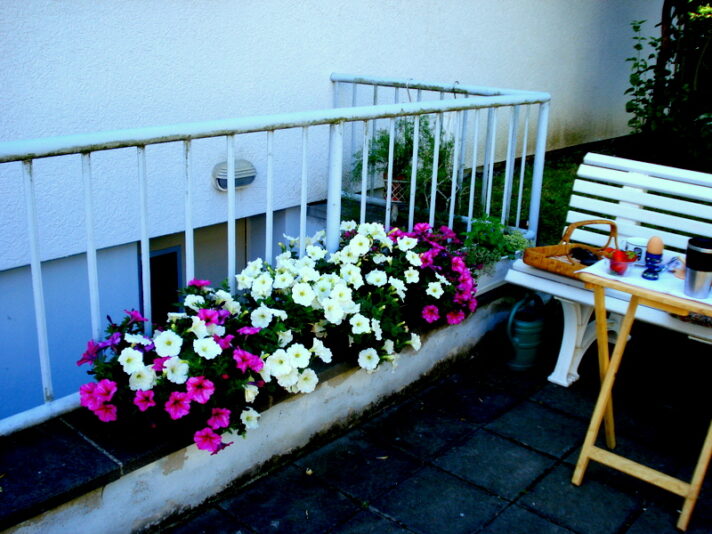 Frühstück im Freien-