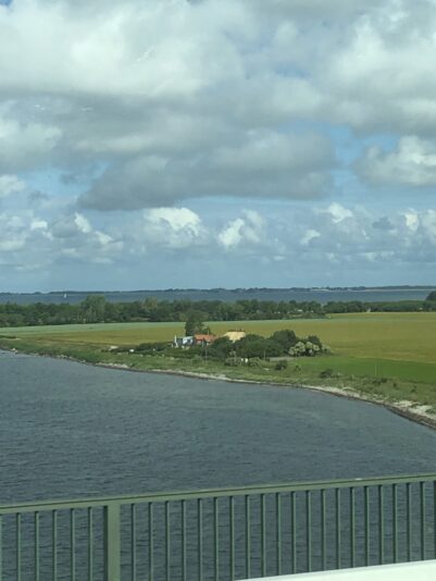 1BE6B7C8-A29A-4390-803E-F42A565C5032