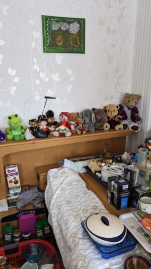 PXL_20230529_083420449