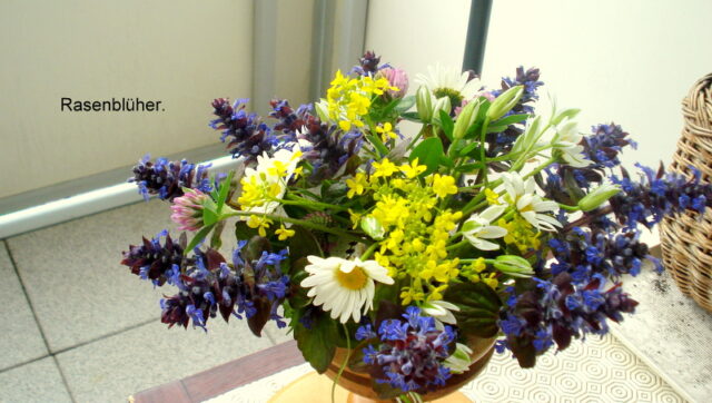 Rasenblüher.