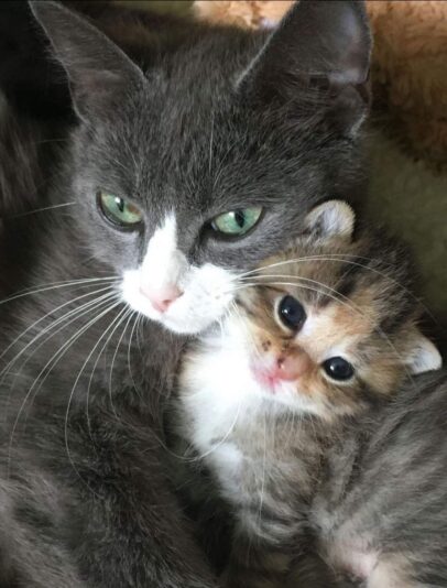 244998106_1996307243851478_2113730076563346504_n