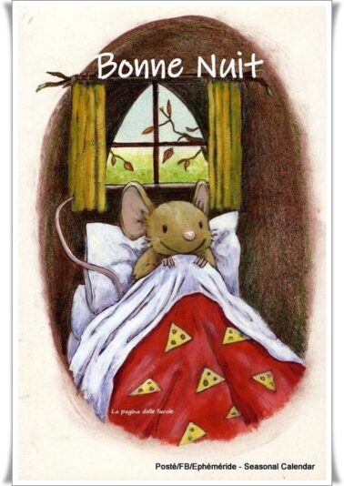 275968039_5217477041635683_9158875725770702653_n