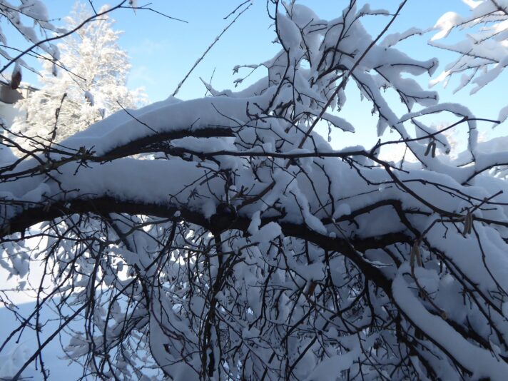 17.1.2021... Sonntag (8)