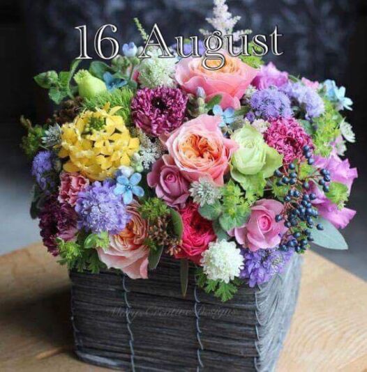 236324891_2980132578891206_8084526286607503141_n (1)