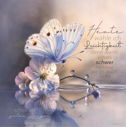 b0ace41f87293dde48df7c8940eb2529