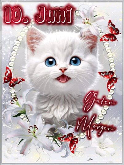 505498510_1130248735802636_6716355010573259532_n (2)