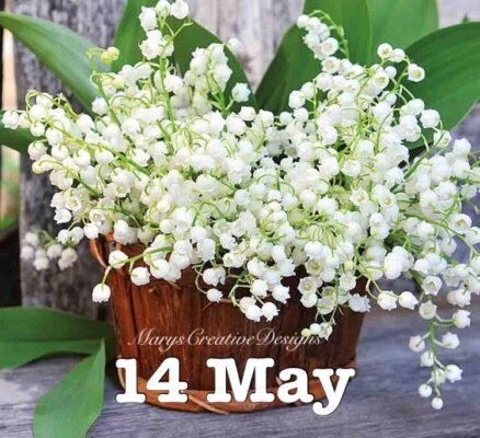 280251072_3195227554048373_740810537434809734_n (3)