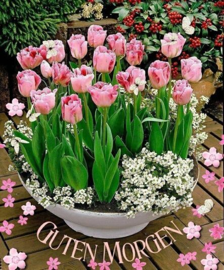 183755435_117302840497263_2569440940467289449_n (1)