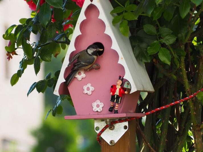 FB_IMG_1594658748196