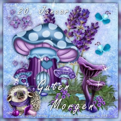 IMG_2913.JPG 20. Januar 2024