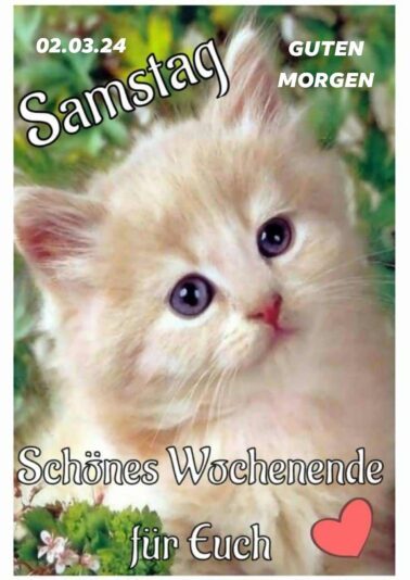 428711746_374839088737519_3333821600167354572_n (1)