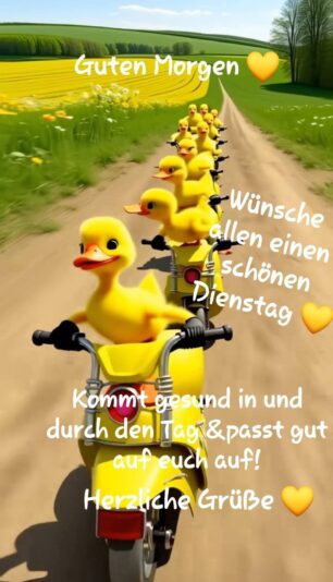 8d8f3987a4cd1a8c8028ecdcbc78ea7b