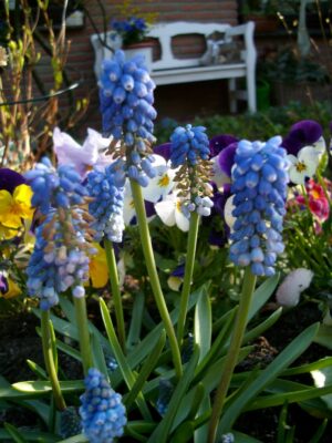 PENTACON DIGITAL CAMERA