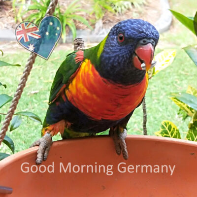Good Morning Germany