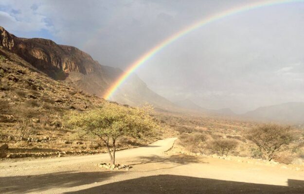 12404136_956489894445241_1985958102_n