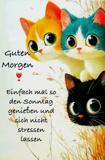 552378582_24592478877056593_5646979607953875068_n