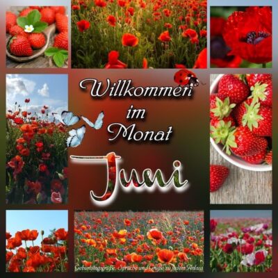 445793475_465994115928617_5359776475047764138_n (1)