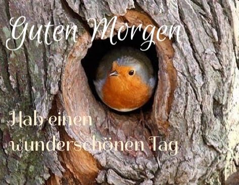 a7ba9f5a01eb151328f90ce3f67cc0da