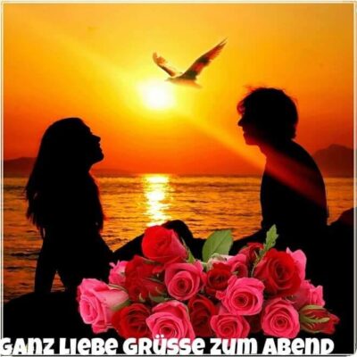 11749382_880742321996639_125640712_n