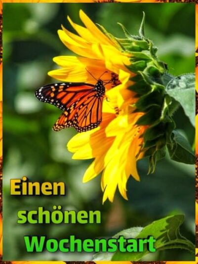 0377262a-bea4-4a61-8076-fc505b3c3e0c