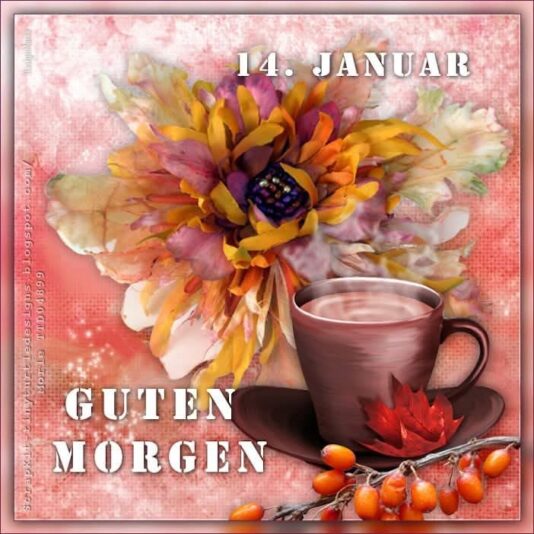 IMG_6579.JPG a 14. 1. 25