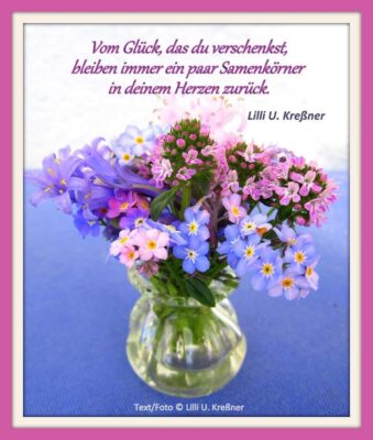 345573210_6125205707555661_1210053689110026993_n (2)