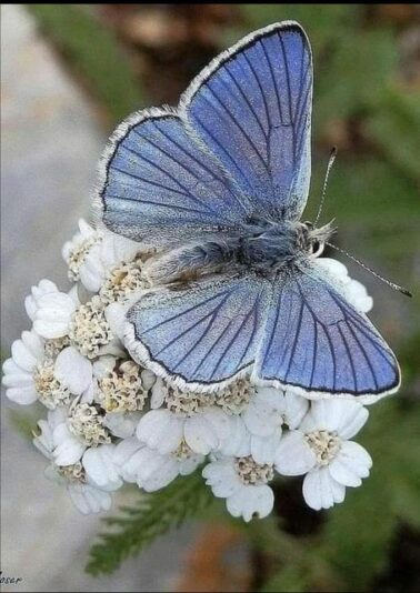 169525404_10219694334777666_2861269634958172576_n