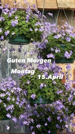 436392651_739968908307906_4674757175802186766_n