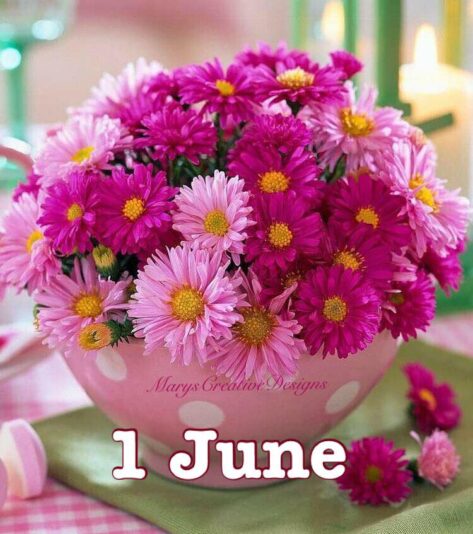 283883497_3210512185853243_1911827579212448474_n (2)