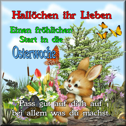 490976151_1062223215931915_2023091607534614929_n