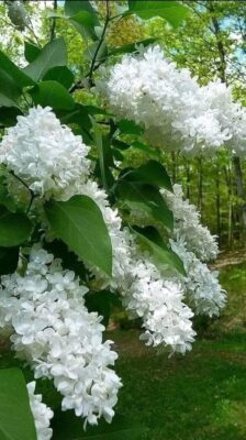 458098143_7621868707919631_1085135335665124462_n