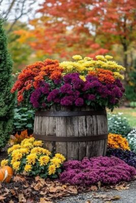 555351595_1558192898950284_8456369379836642077_n