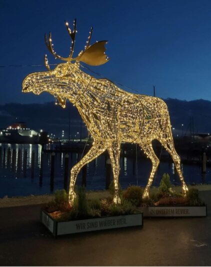 Screenshot_20251125_174126_Gallery