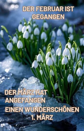IMG_7144.JPG Februar ist gegangen jetzt 1. März