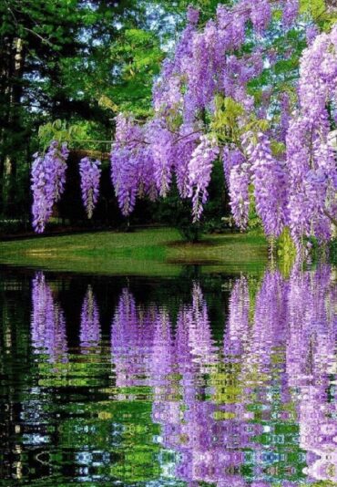 183181310_1221065351681102_3976258534083515722_n (1)