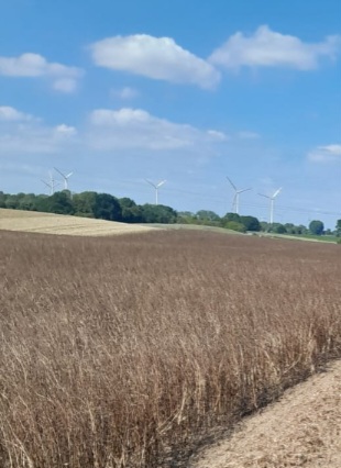 Screenshot_20250816_182539_Gallery