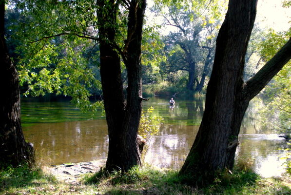 Blick vom Pioniersteg aus.