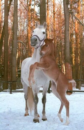 133902085_1045929852501342_943221720983492494_n