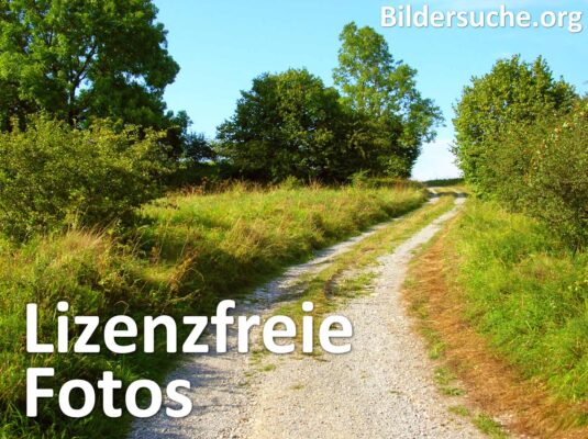 lizenzfreie-fotos