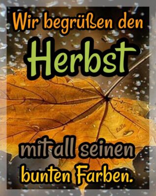 458079138_527556696485781_5915504411628483590_n