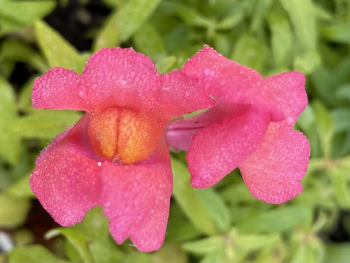 BD0A65EE-AA85-49ED-B200-37D9C5949499