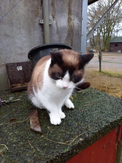 272132339_614861006273876_1406893870368203169_n