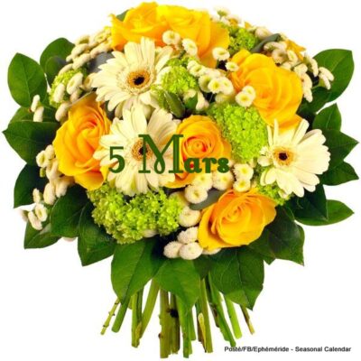 157443646_4021022807947785_4120443042439633010_n