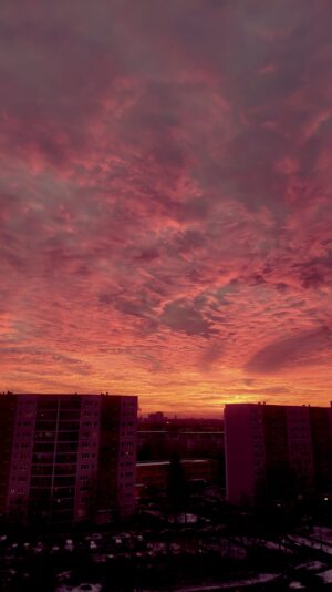 313dbe3f-007e-4352-8683-c449cfe59b59