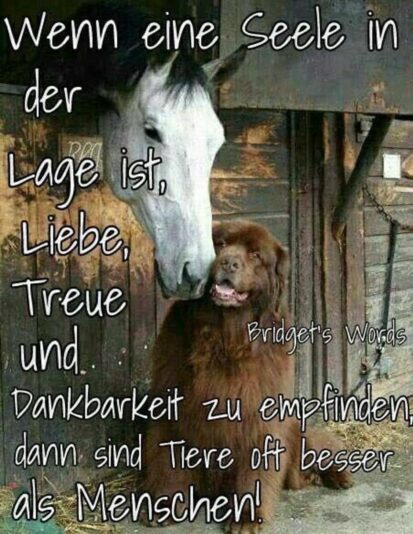 173093191_495726294888918_3566810230259877284_n