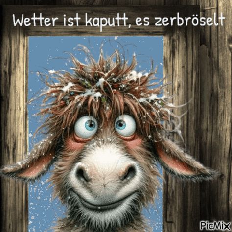 65ce38816a25def42fa77debf107a969