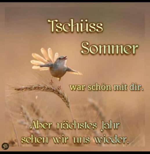 722f008a-e5dd-4965-86b2-c2efe54b65e2