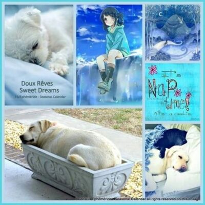 418892670_833859362109701_247225578271386927_n