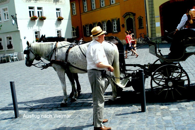 Die Kutscherin dreht sich nicht um.